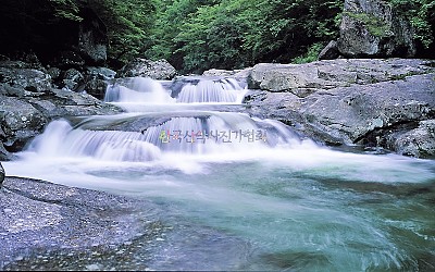뱀사골계곡