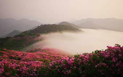 좋은아침