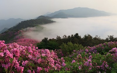 봉화산
