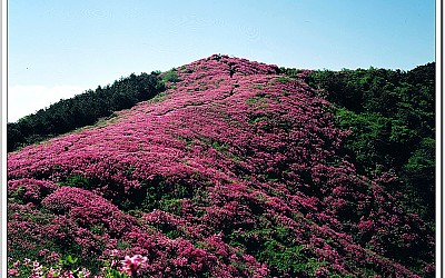 바람불던날