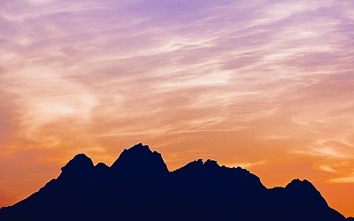 서울산