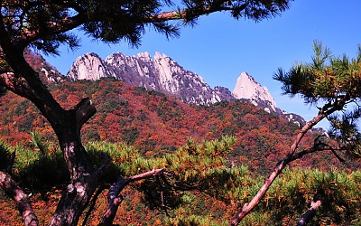 만추
