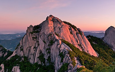 서울산