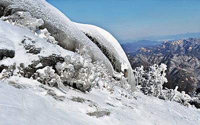 덕유산 철쭉빙화
