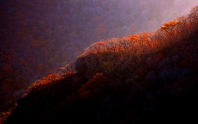 빛 그리고
