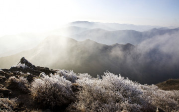 양남 알프스의 초설