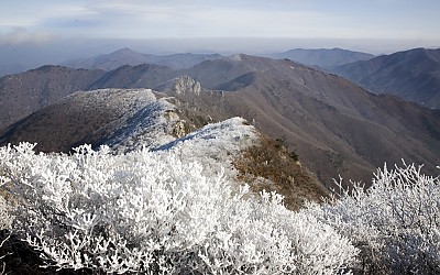 영남알프스 가지산