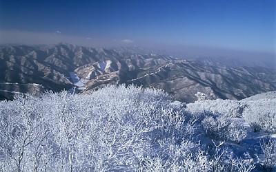 태백의설경