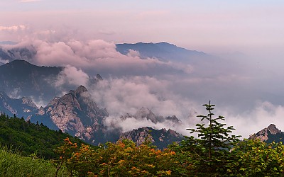 신록