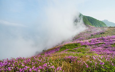 황매산