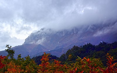설악`