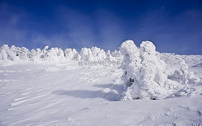 한라산 마지막