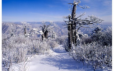 태백산
