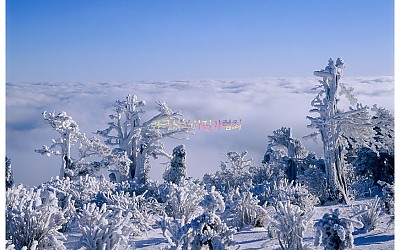 태백산.3
