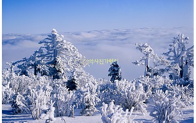 태백산.2