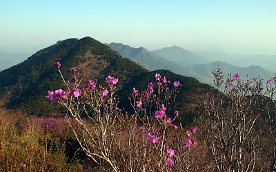 천주산 스케치