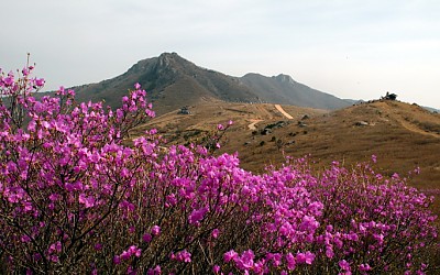 황매산 스캐치