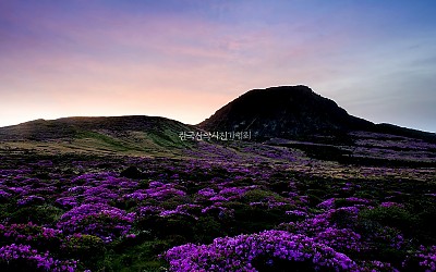 한라산여명