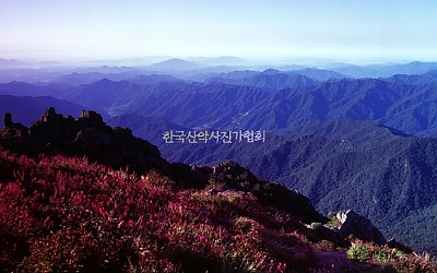   그 가을을 추억함