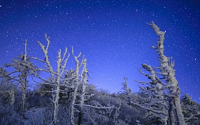 산사진은...