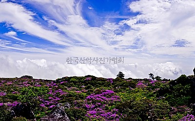구름좋은날
