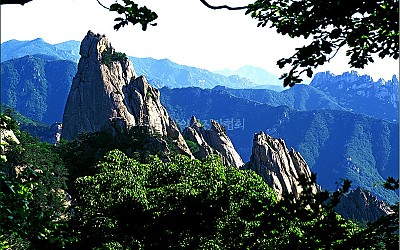 범봉의 봄