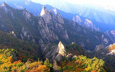 설악 단풍