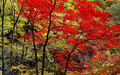 설악산