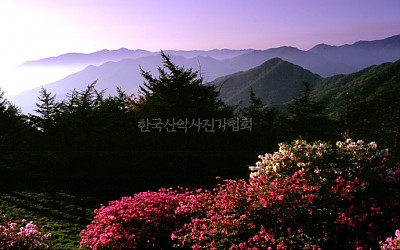 아쉬운 사진