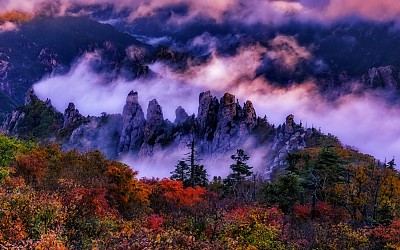 설악산단풍