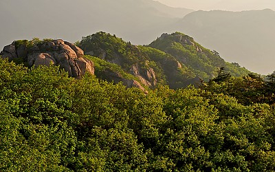 안개속 속리산 신록