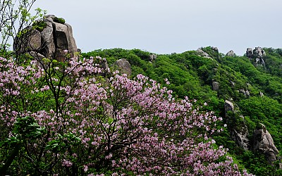 속리산