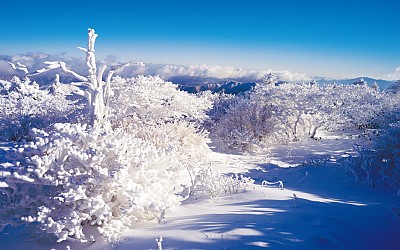 덕유산겨울