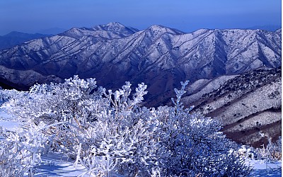 신불산의 겨울