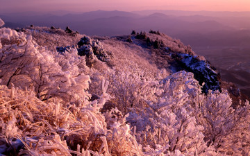 영남 알프스의 겨울