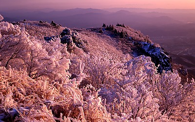 신불산의 겨울