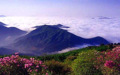 안양산의 봄