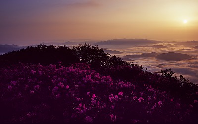 안양산