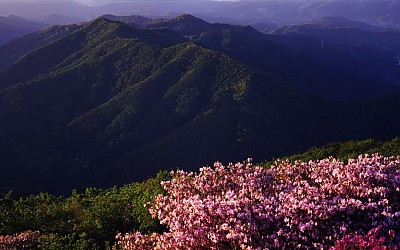 안양산