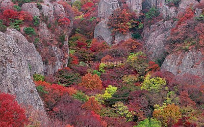 암봉과의 조화