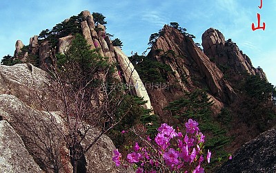 도봉산의 봄