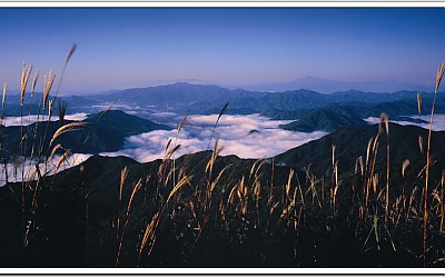 오도산