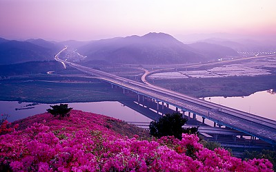 와룡산