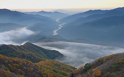 왕의 강