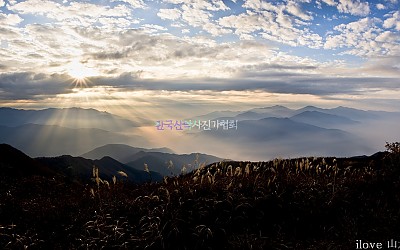 왕시루봉연작