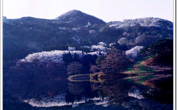 다시가고싶은곳