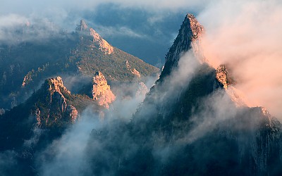 우리의 산