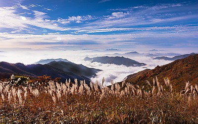 운장산.