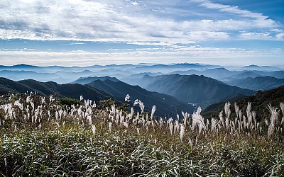 운장산의가을