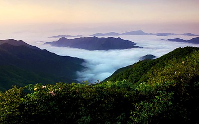 싱그러운 신록